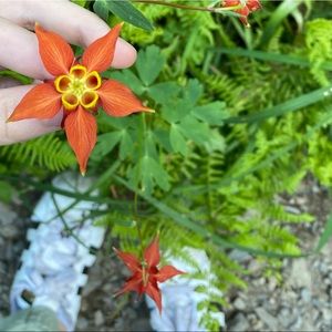 Meet your Posher, Alea